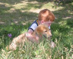 child with a puppy on green grass