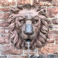 Lion Fountain Water
