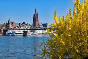 old city on bank of Main river at spring, germany, Frankfurt