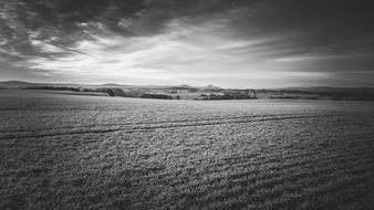 Field Landscape Nature