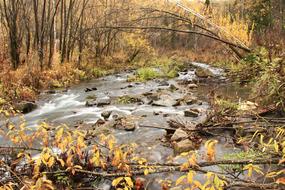 Autumn Creek