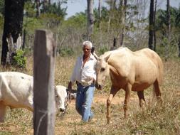 man with a white horse on a leash