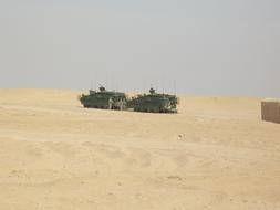 Army Combat Iraq