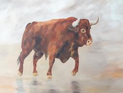 Toro Red Canvas