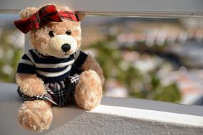 Teddy Bear Plush Toy
