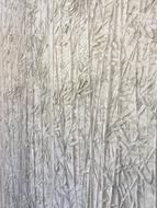 Frame Texture Pattern grass dry