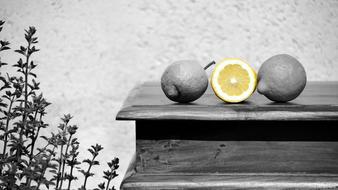 Lemon Yellow Fruit