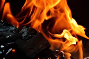 burning log fire