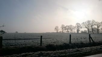 Sun Winter