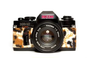 Camera Fashion Hipster