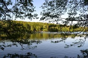 beautiful lake with trees