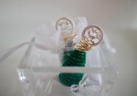 Earrings Jewelry Fashion