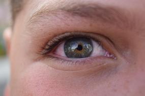 Close-up of the green child eye