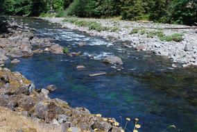 Salmon River Mt Hood