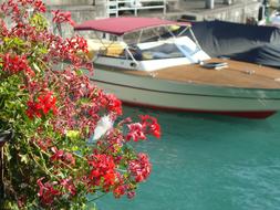 Porto Boat