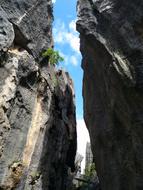 Stone Forest In Yunnan Province