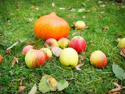 Pumpkin Apple
