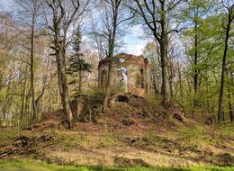 Park Room Historical ruin