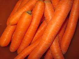 healthy carrots