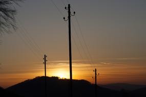 silhouettes of trees against the sun