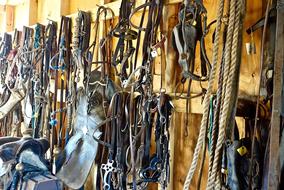 vintage equipment on the wall