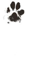 clipart of dog animal paw print