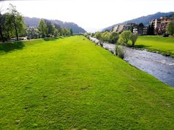 green meadow by the river
