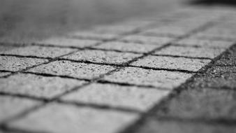 macro photo of Stone Tile Ground