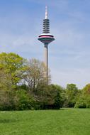 TV tower in a green park in Frankfurt