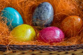 colorful nest eggs