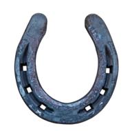 Luck Horseshoe Lucky Charm