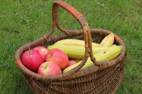 Basket Fruit Apples