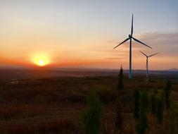 wind turbines in the valley at sunset