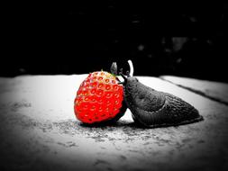 sweet strawberries with a butterfly on the table