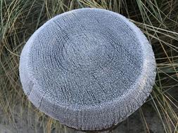 Winter Hoarfrost
