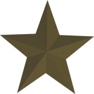 star texas lone art