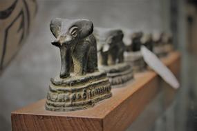 Elephants Tusk Ivory African