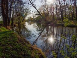 river flowing in a wild forest