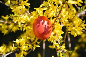 Easter Eggs Colors