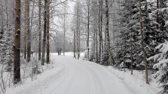 Winter White Snow