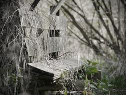 Decay Bank Old