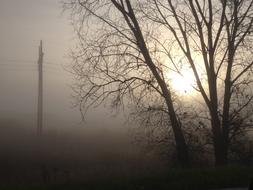 Morning Fog Sun