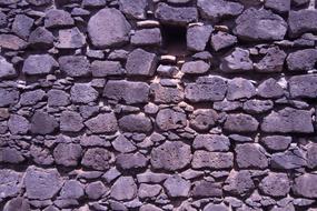 Wall Bricks
