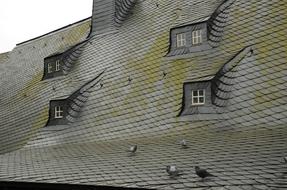Roof Roofing Lei