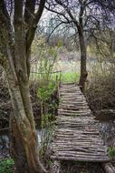 Path Bridge Park