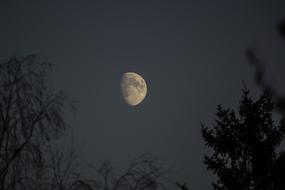 Moon Night Nikon