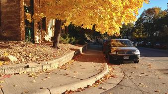 Fall Autumn City street