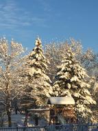 Winter Snow Season