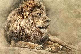 Art of Lion Lying Down