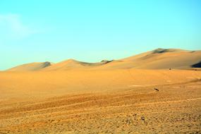 The Scenery Desert